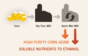 Gwp Process